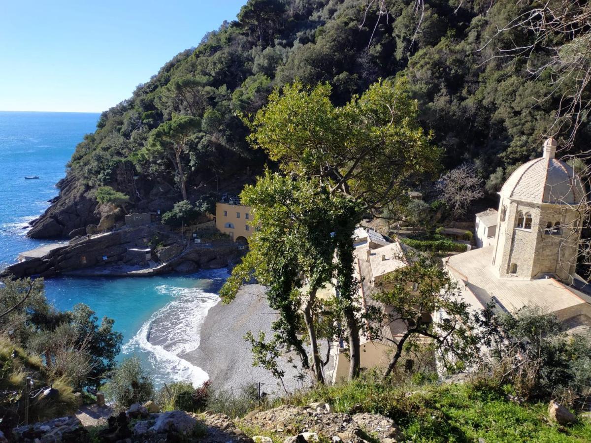 Casaviva - Magical Bilo In Camogli Daire Dış mekan fotoğraf