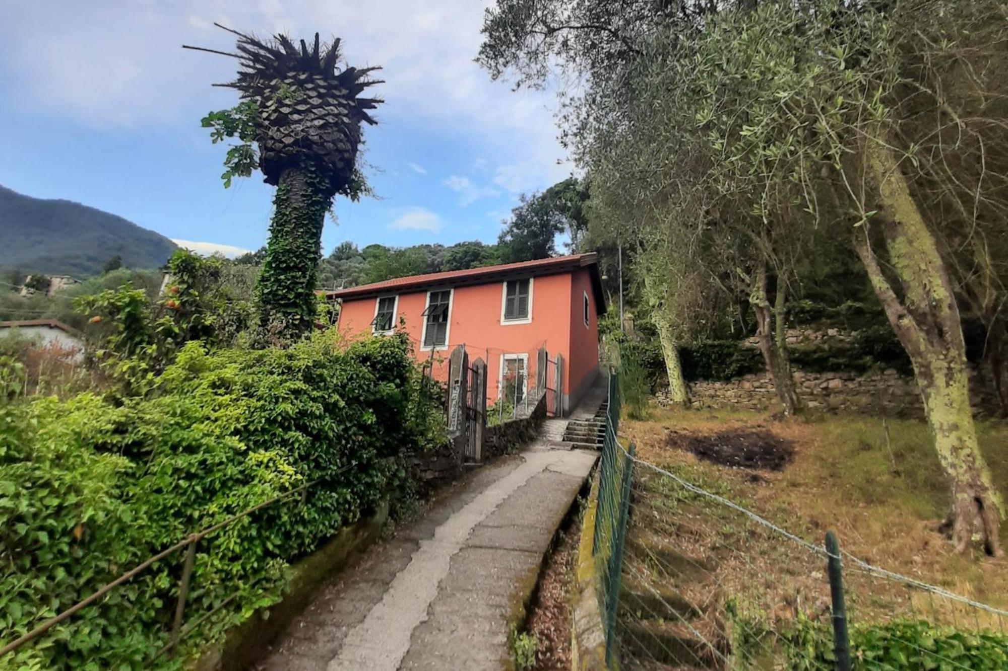 Casaviva - Magical Bilo In Camogli Daire Dış mekan fotoğraf