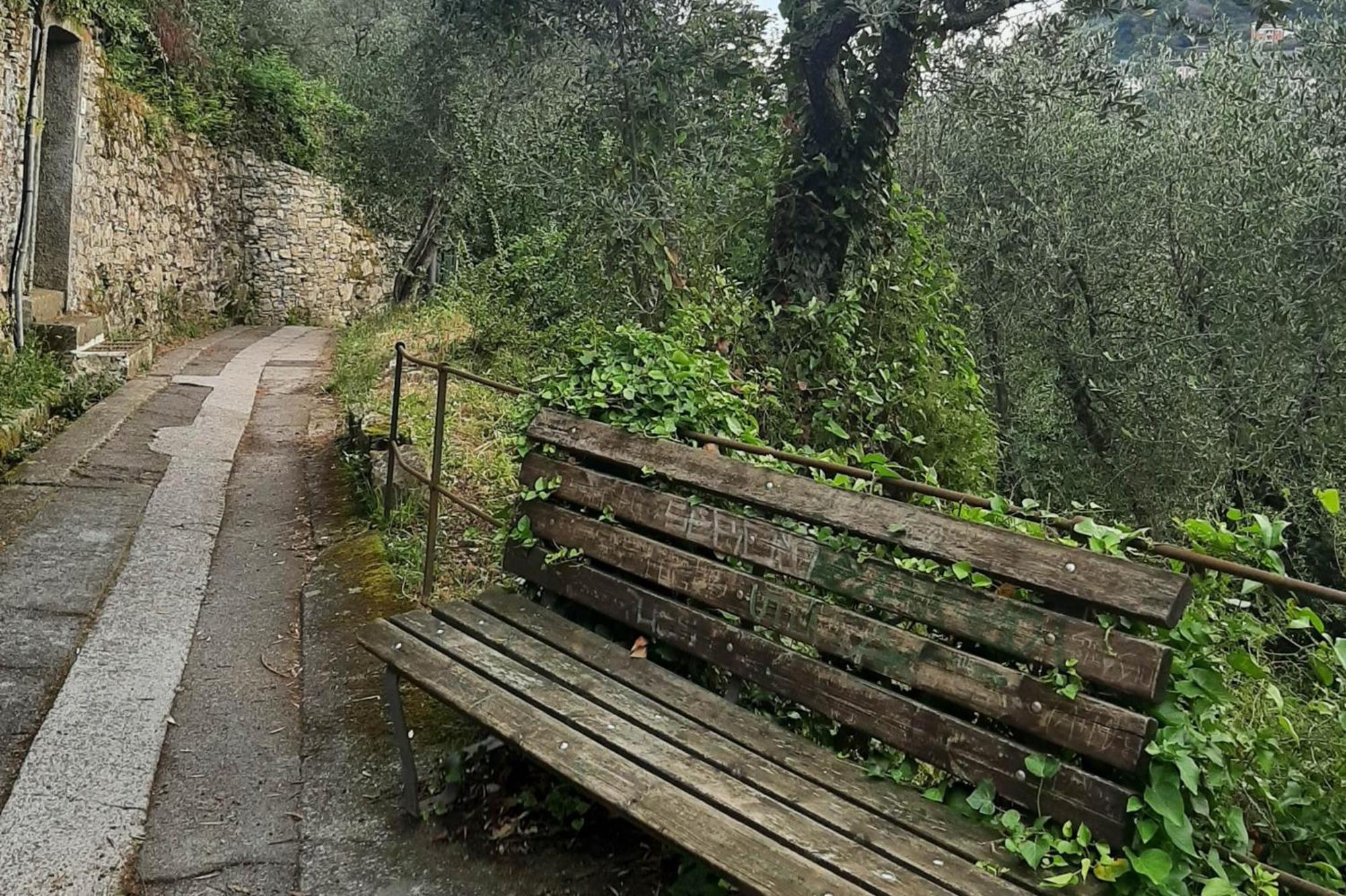 Casaviva - Magical Bilo In Camogli Daire Dış mekan fotoğraf